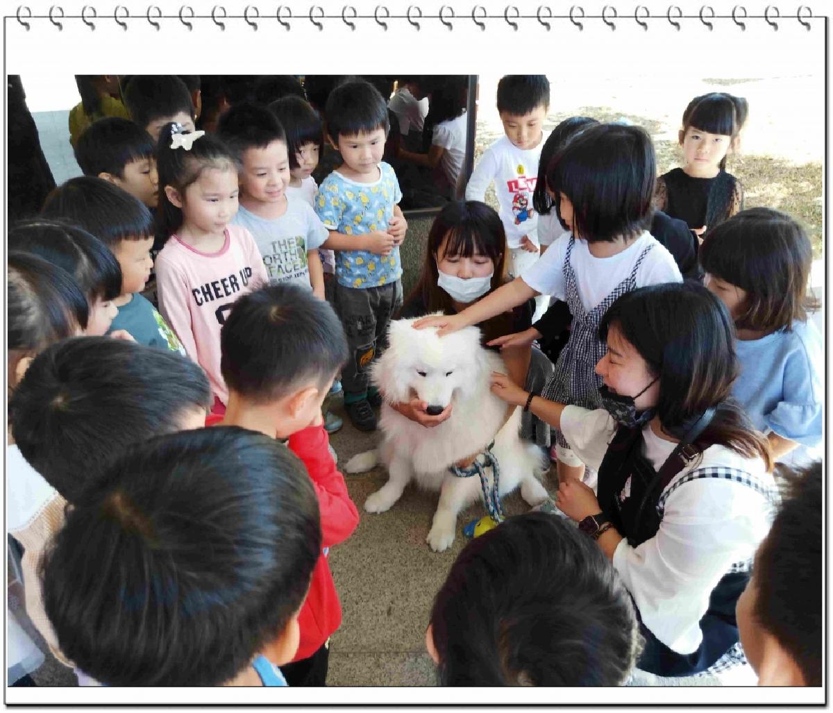 中班公園散步趣--寵物模仿秀