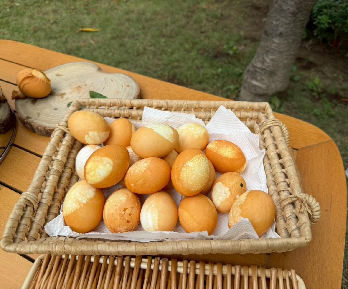 line_album_生態園區染蛋_251127_4