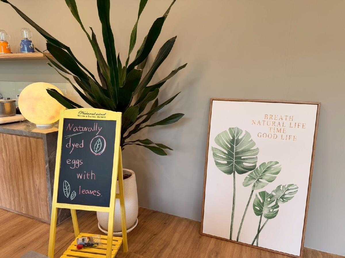 114.11.04中班戶外教學( 生態園區)