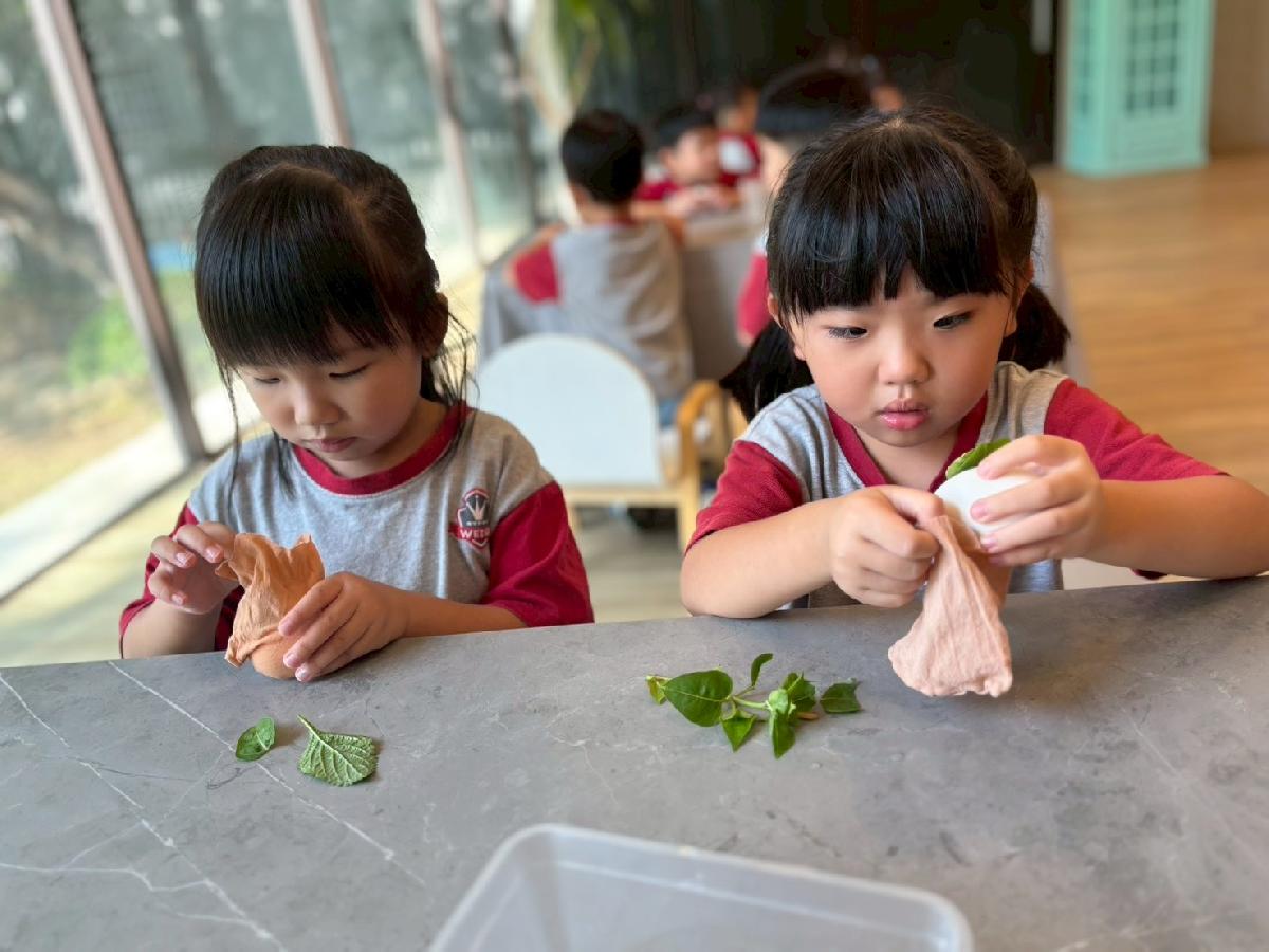 line_album_生態園區染蛋_251127_29