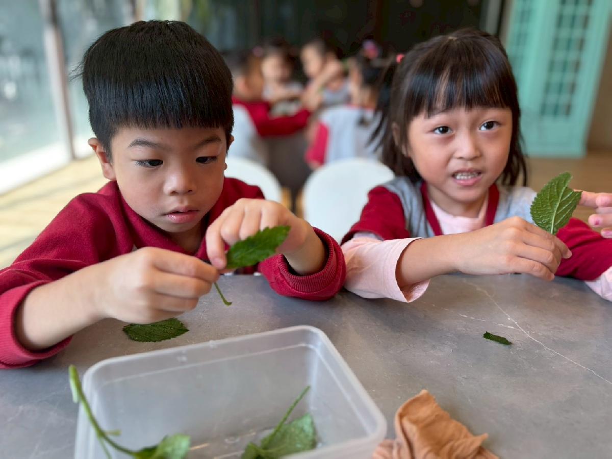 line_album_生態園區染蛋_251127_31