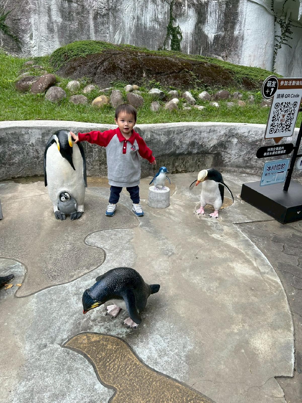 line_album_zoo親子旅遊_251127_2