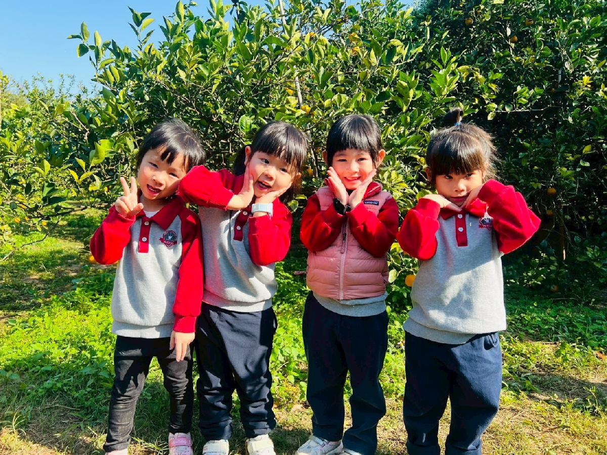 line_album_小班採柳丁_260122_2