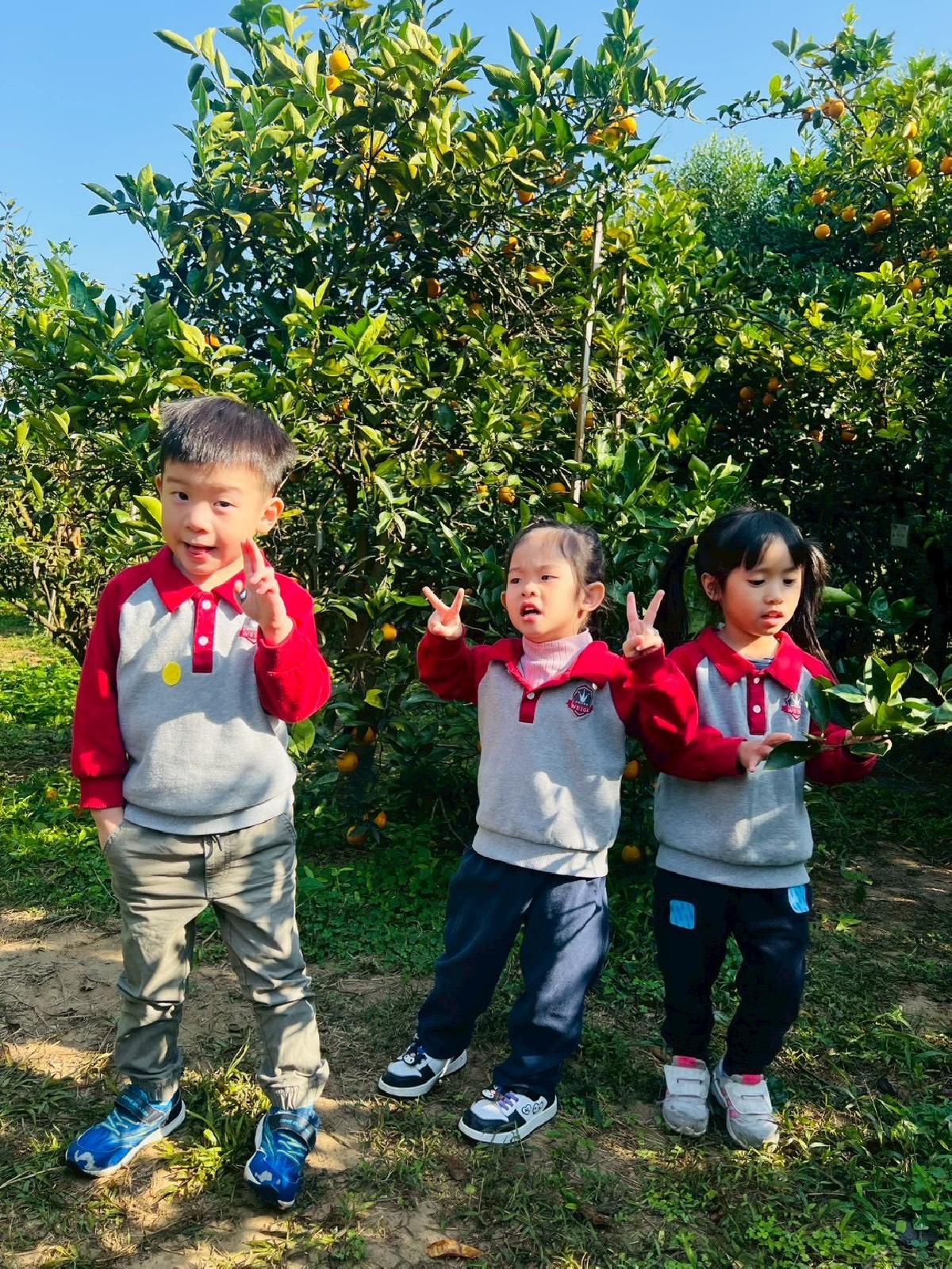 line_album_小班採柳丁_260122_4