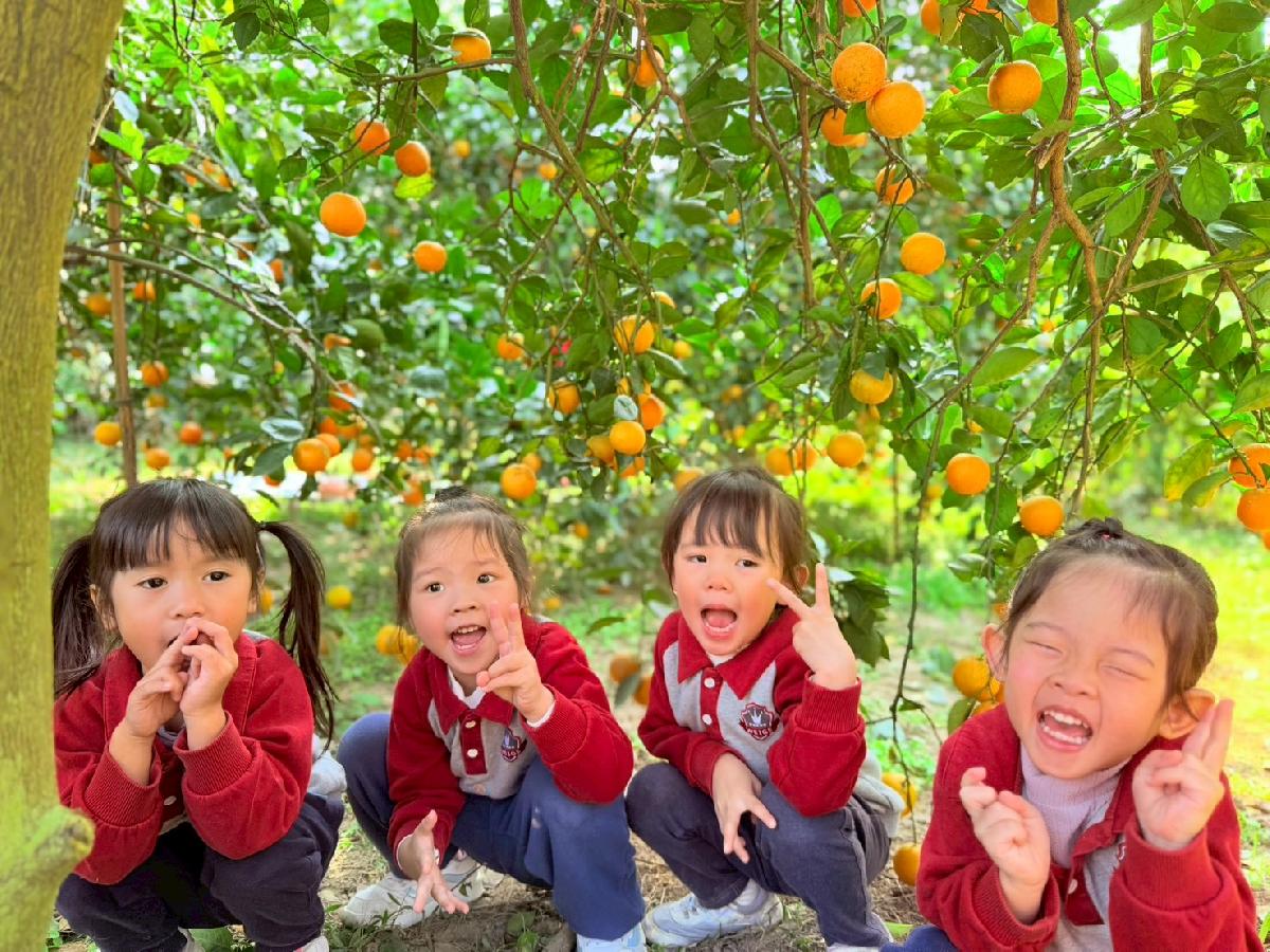 line_album_小班採柳丁_260122_5