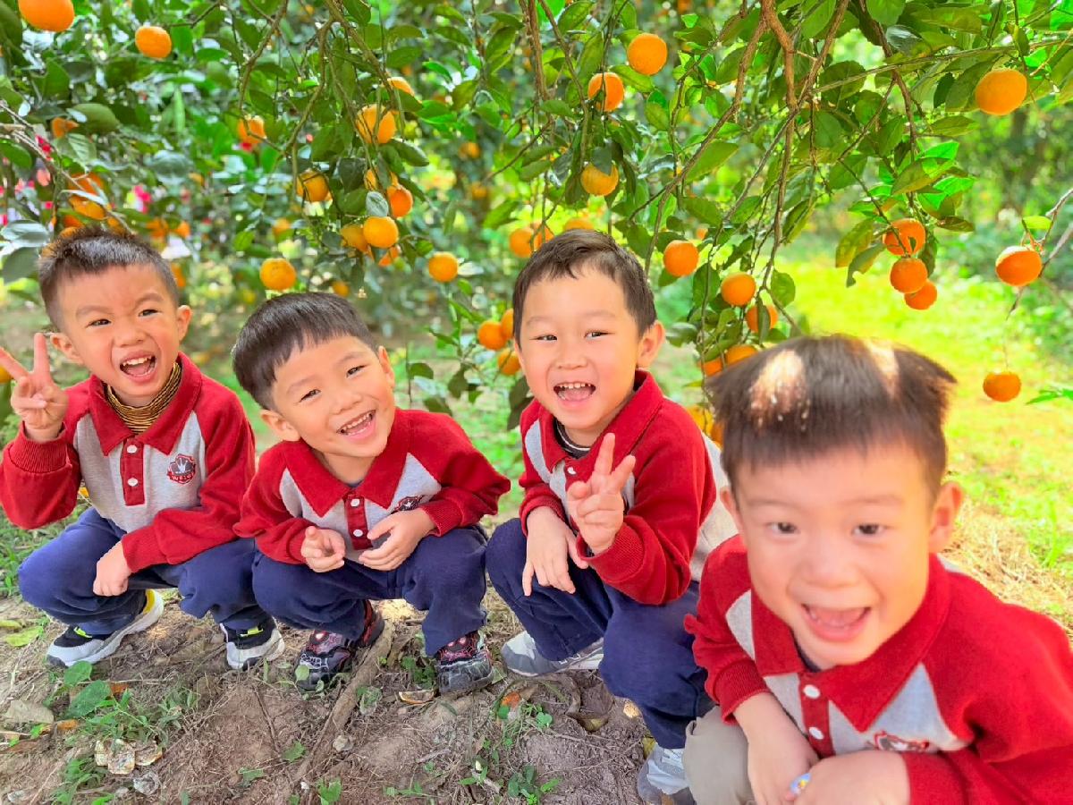 line_album_小班採柳丁_260122_6