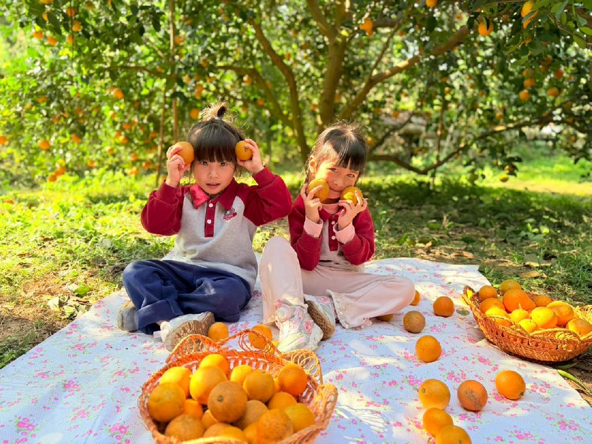 line_album_小班採柳丁_260122_9