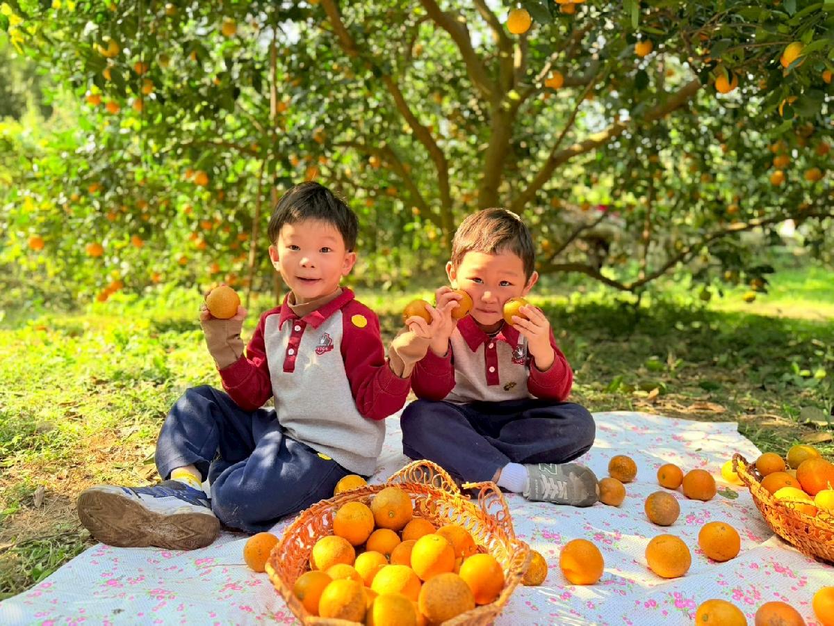 line_album_小班採柳丁_260122_10