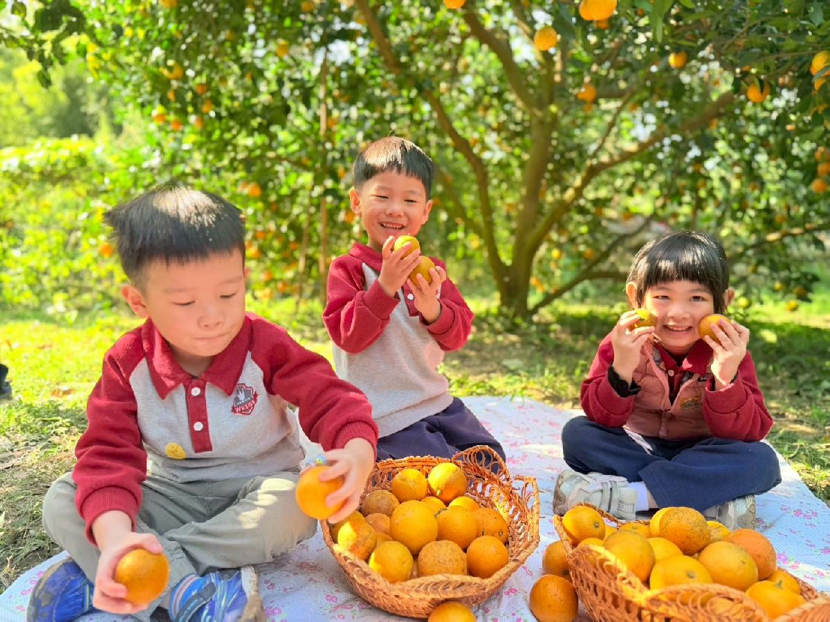 line_album_小班採柳丁_260122_11