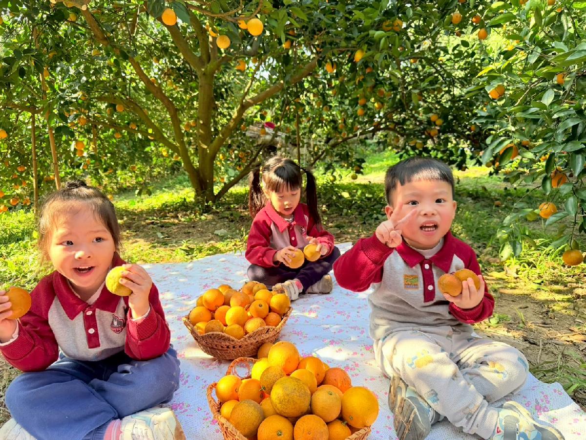 line_album_小班採柳丁_260122_12