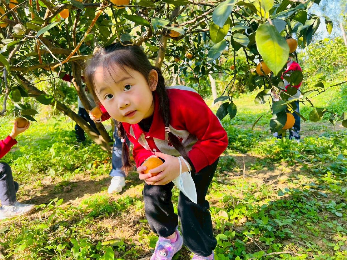 line_album_小班採柳丁_260122_14