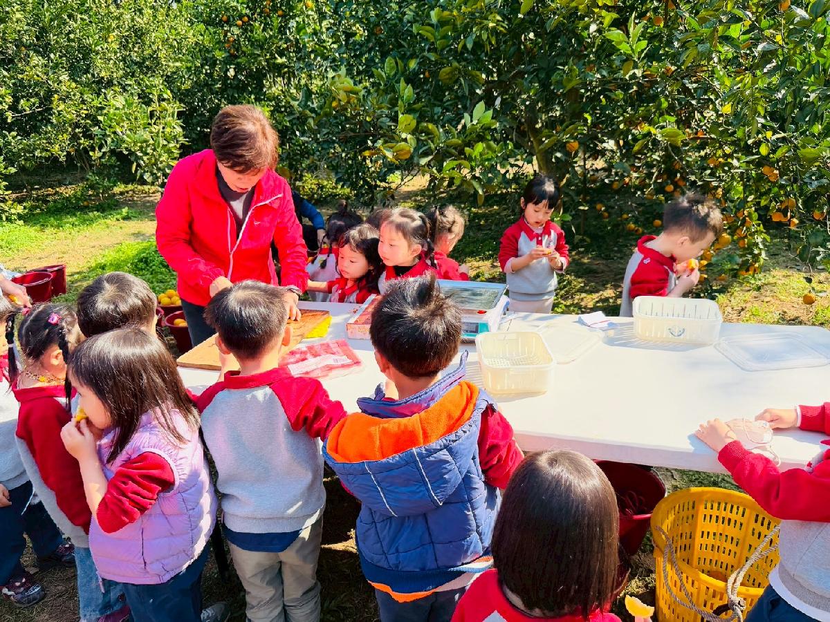 line_album_小班採柳丁_260122_15