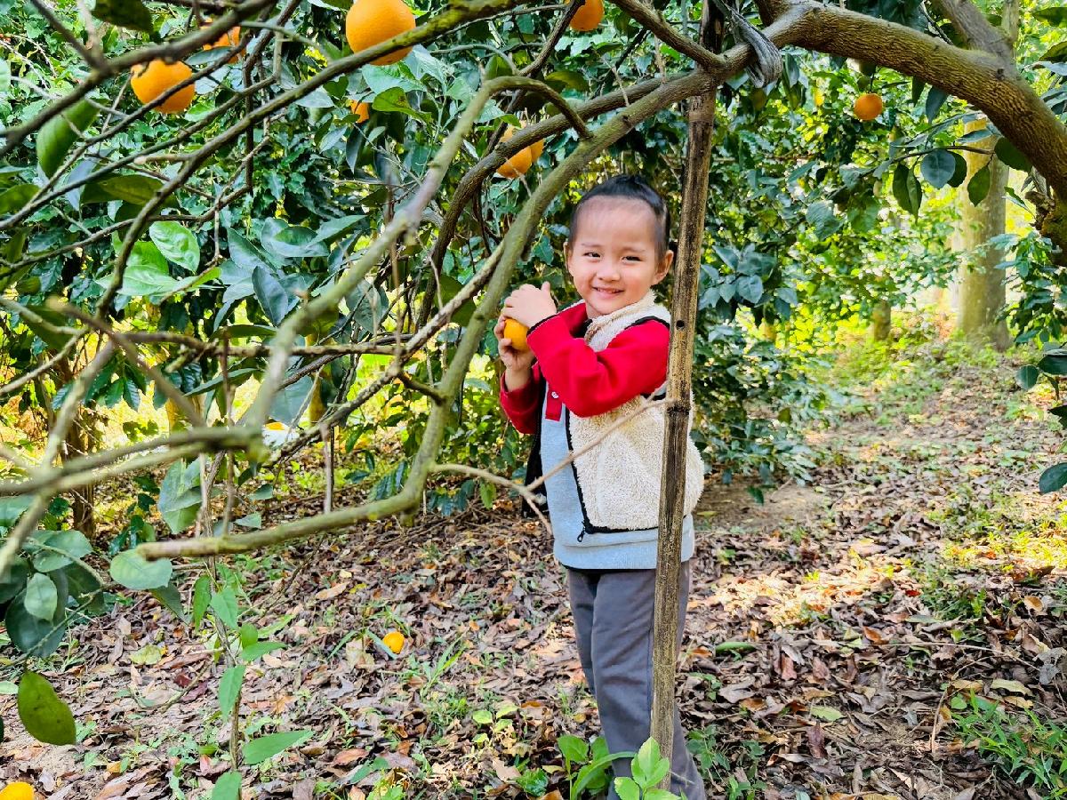 line_album_小班採柳丁_260122_17