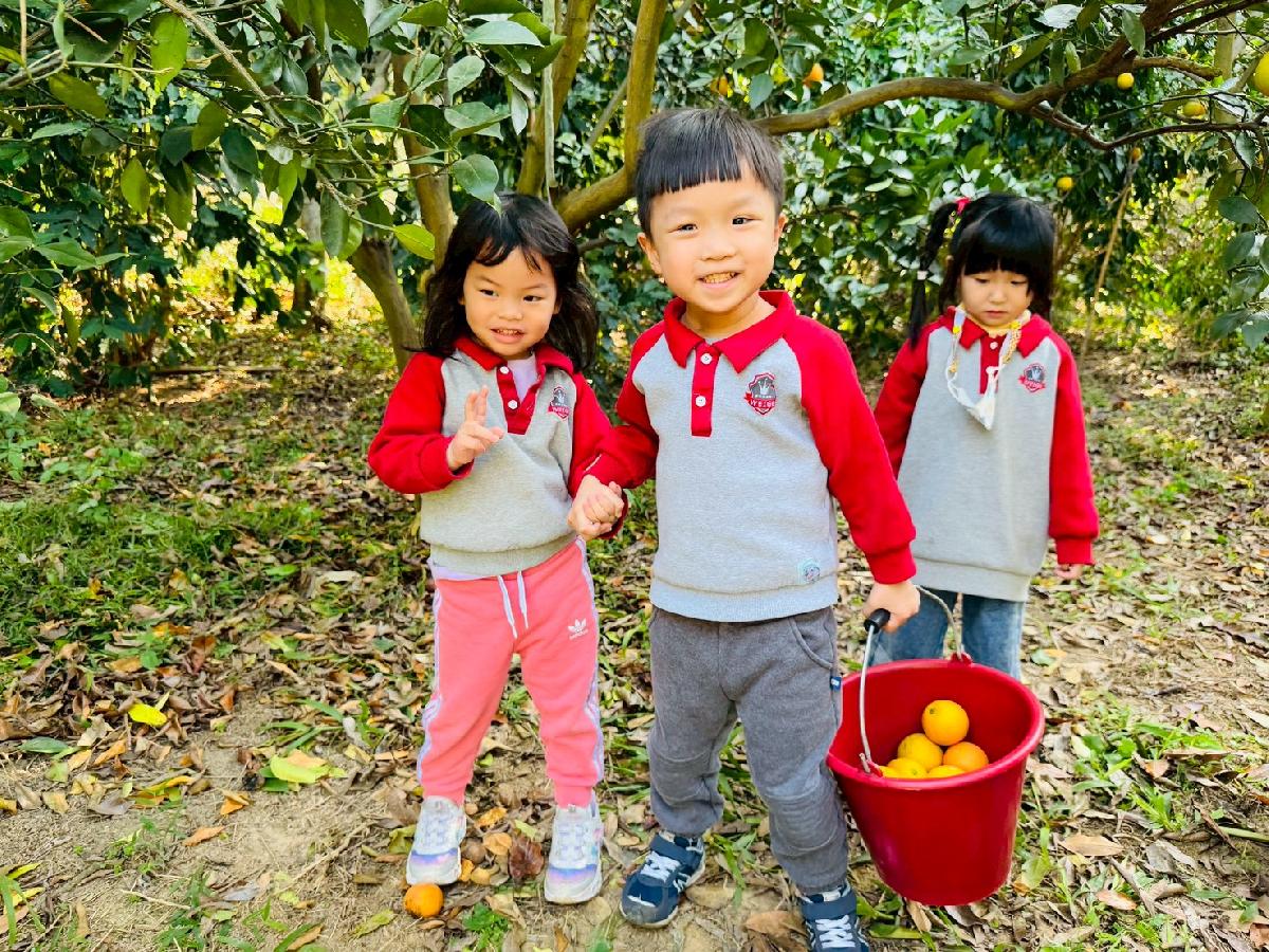 line_album_小班採柳丁_260122_18