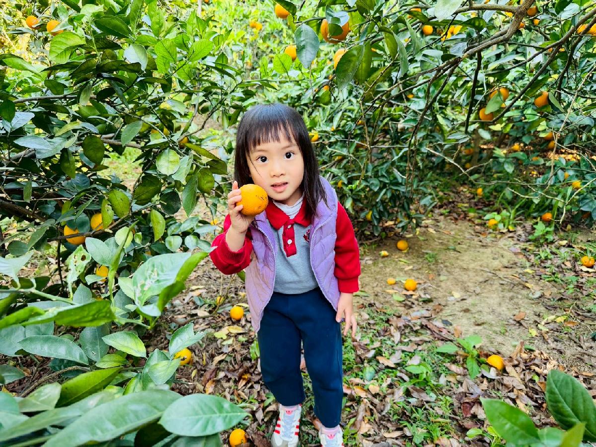 line_album_小班採柳丁_260122_20