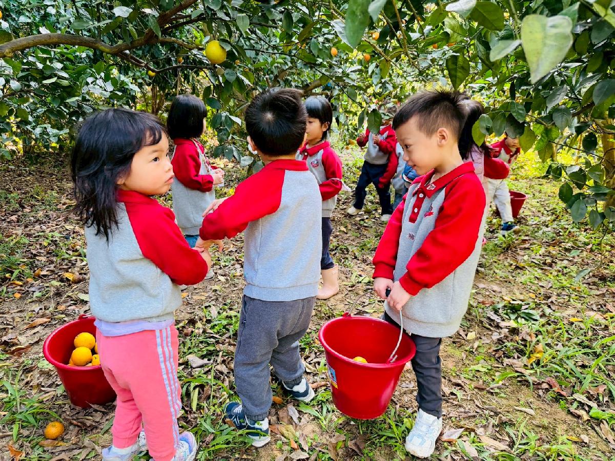 line_album_小班採柳丁_260122_21