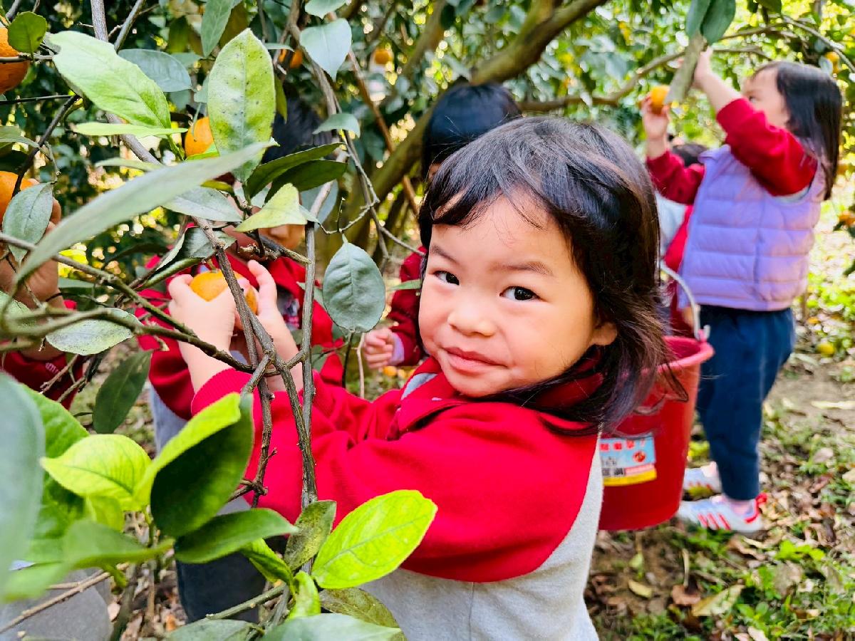 line_album_小班採柳丁_260122_22