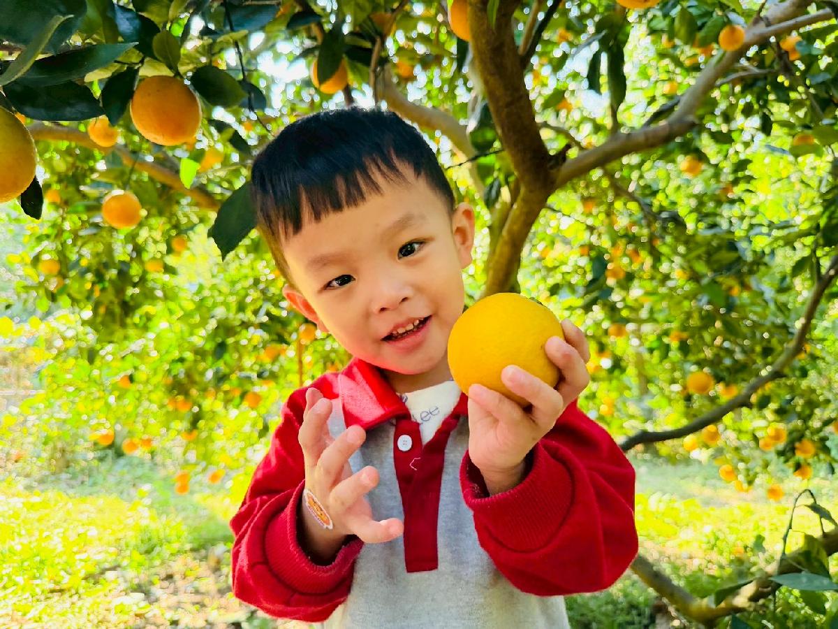 line_album_小班採柳丁_260122_23