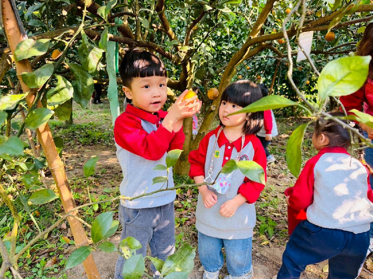 line_album_小班採柳丁_260122_25