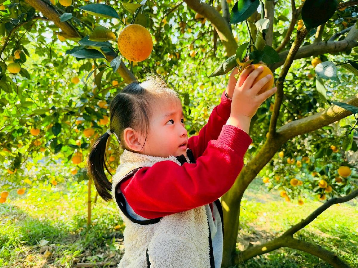 line_album_小班採柳丁_260122_27