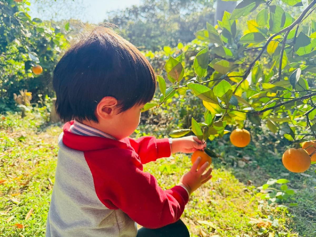 line_album_小班採柳丁_260122_29