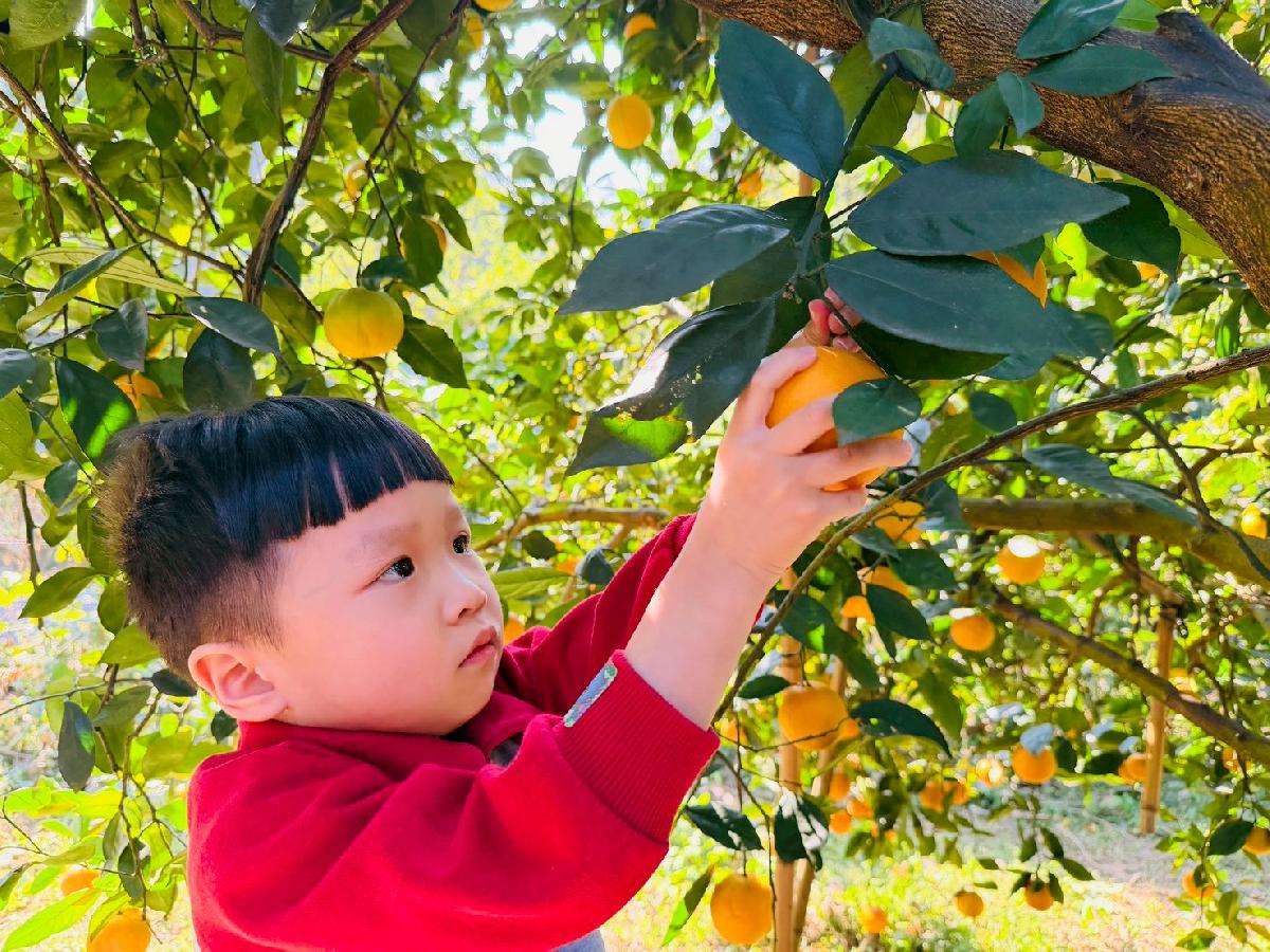 line_album_小班採柳丁_260122_31