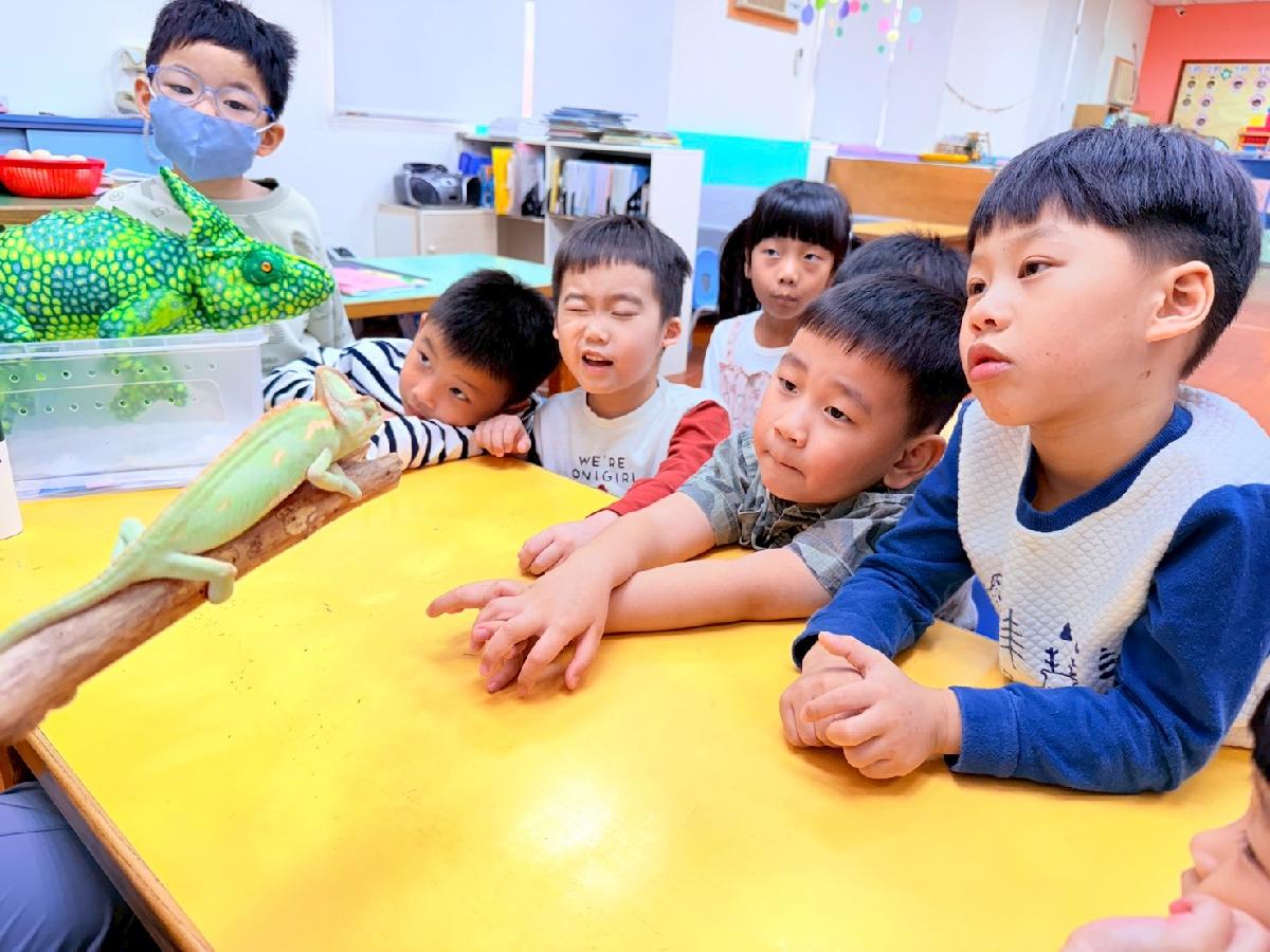 line_album_0225生物課_260308_1