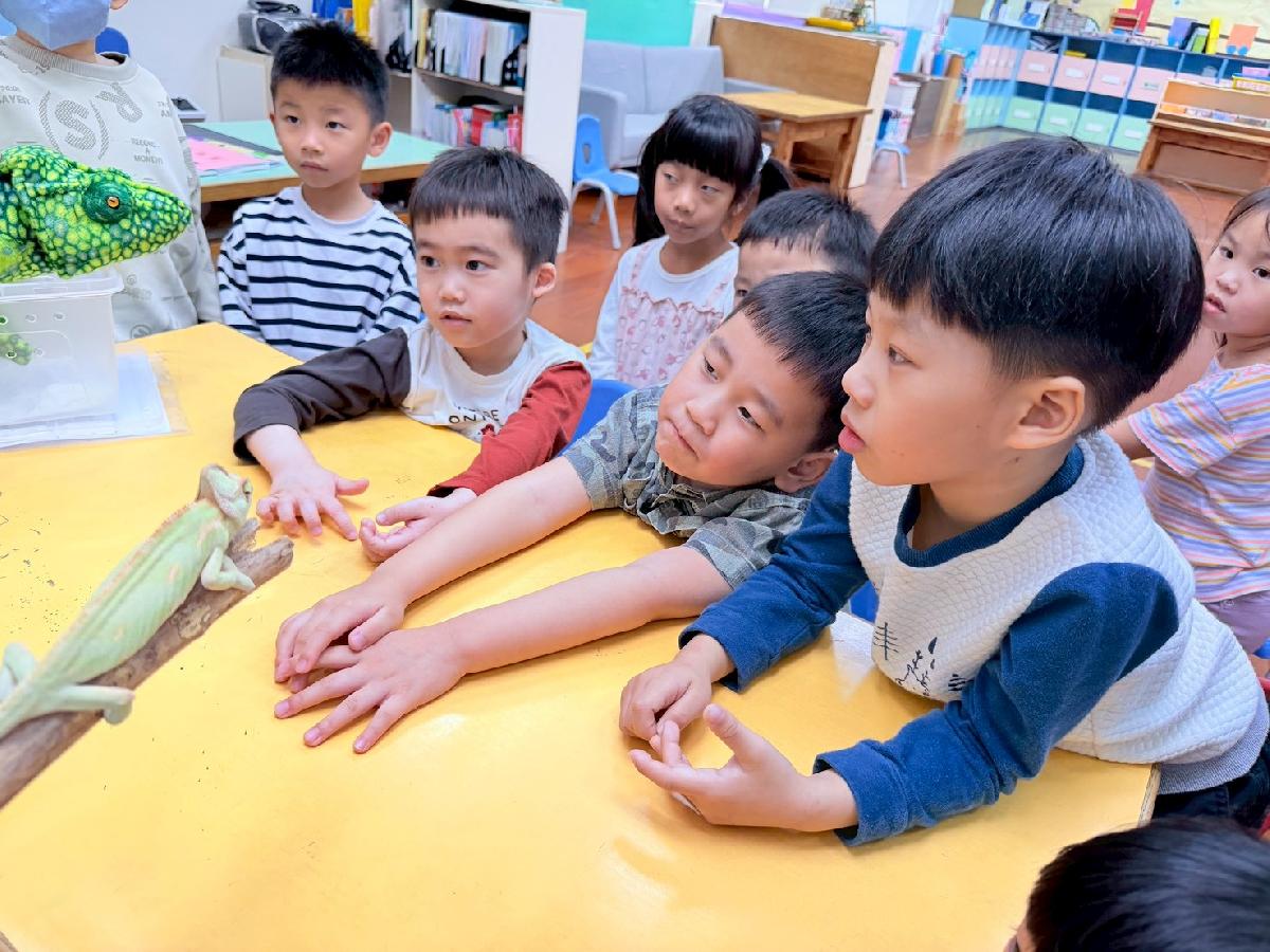 line_album_0225生物課_260308_3