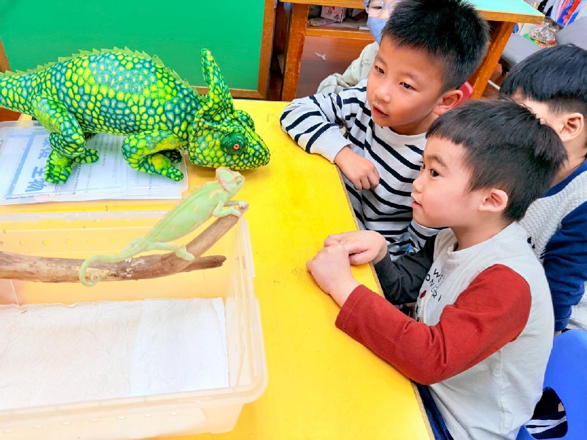 line_album_0225生物課_260308_24