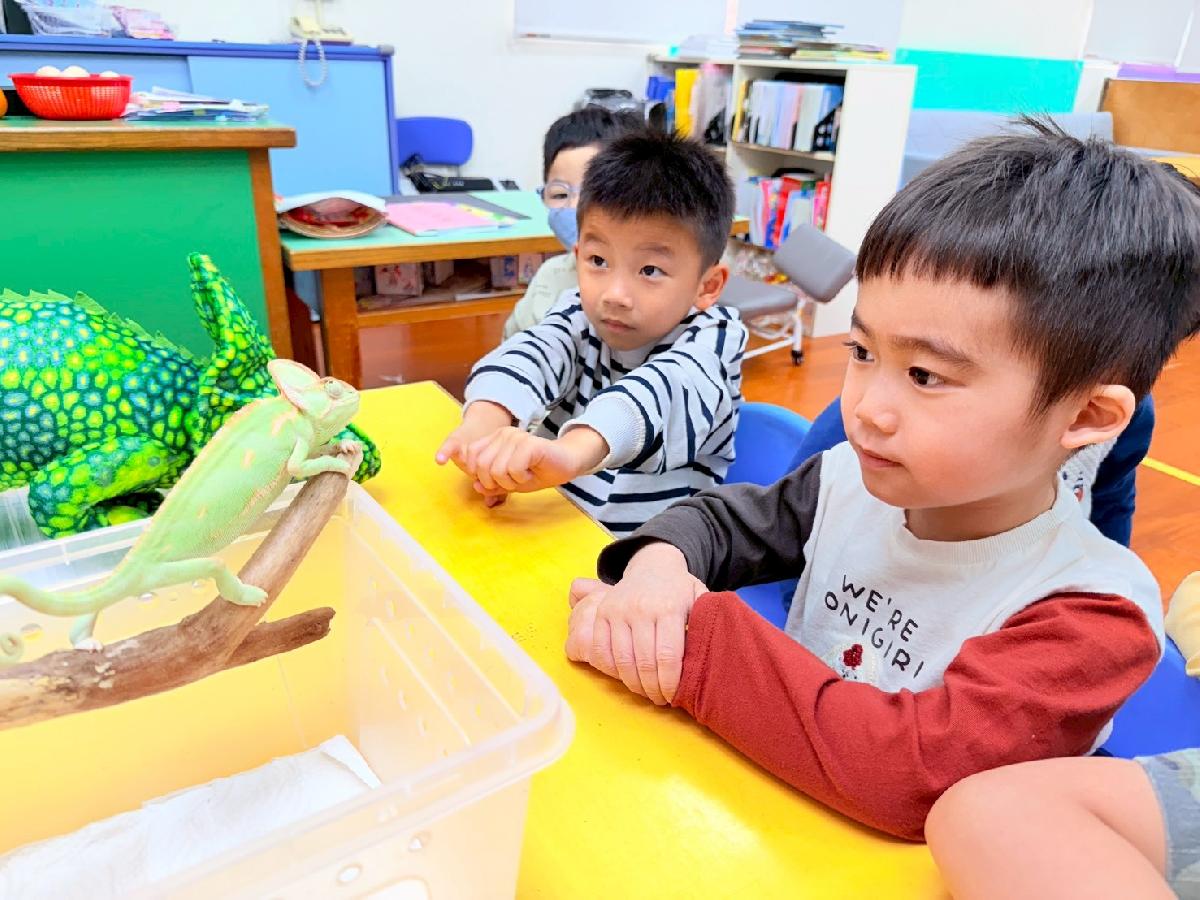 line_album_0225生物課_260308_25