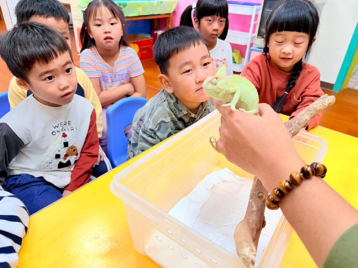 line_album_0225生物課_260308_33