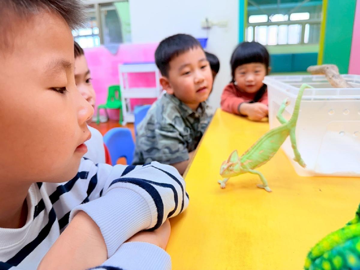 line_album_0225生物課_260308_35