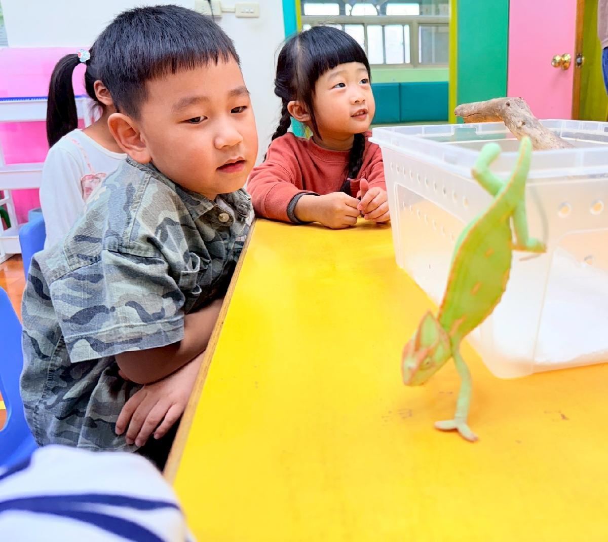 line_album_0225生物課_260308_36