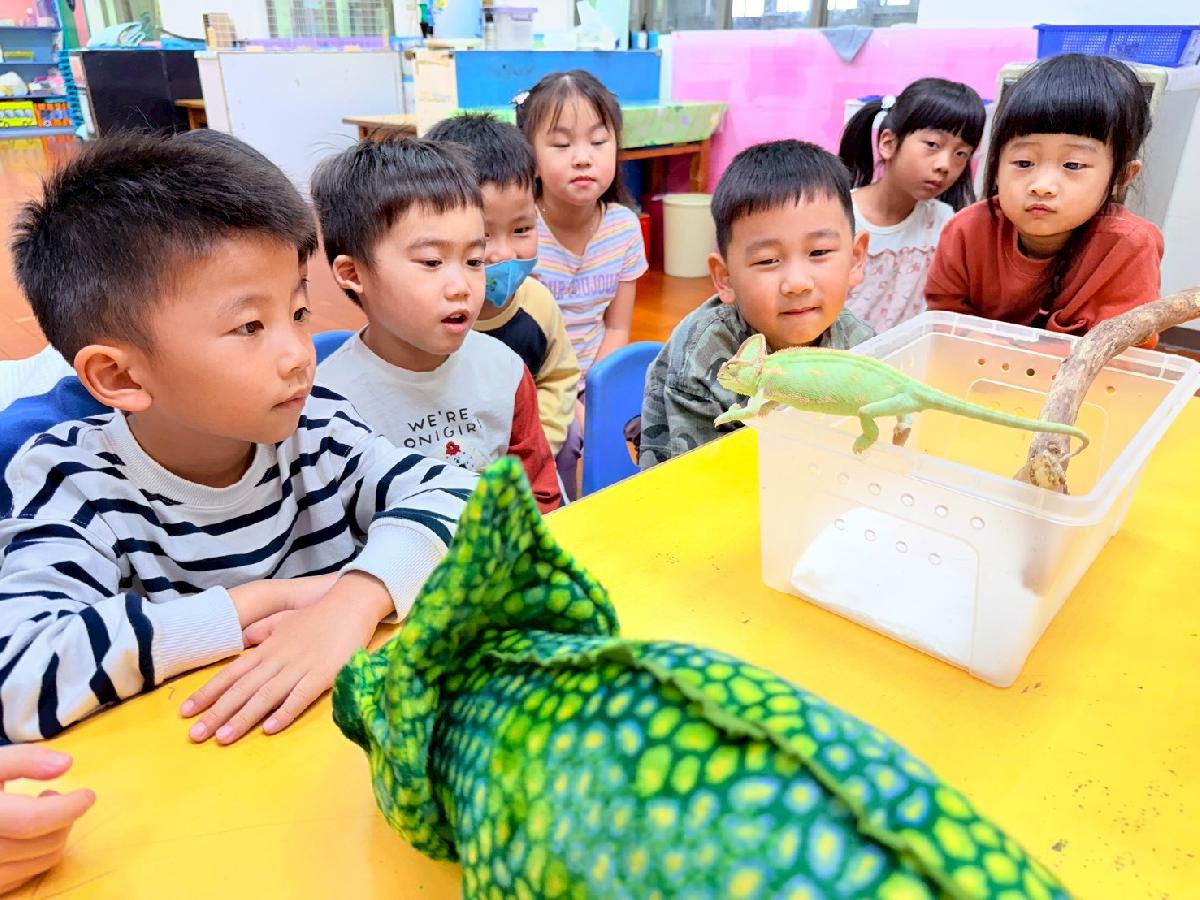 line_album_0225生物課_260308_39