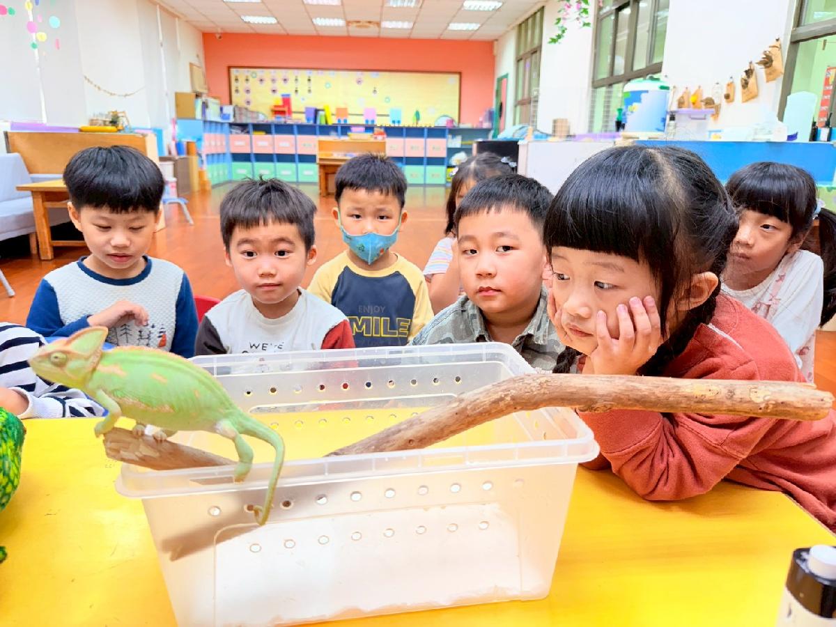 line_album_0225生物課_260308_43