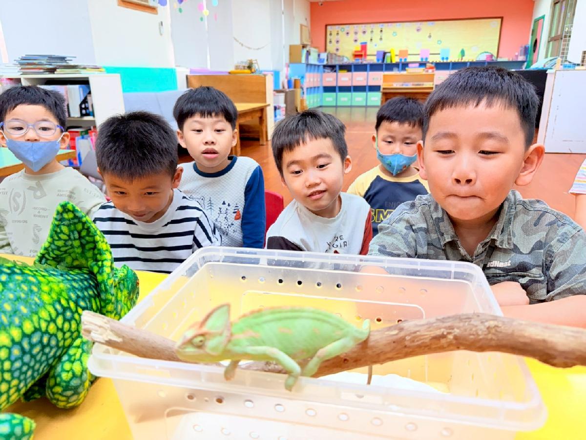 line_album_0225生物課_260308_44