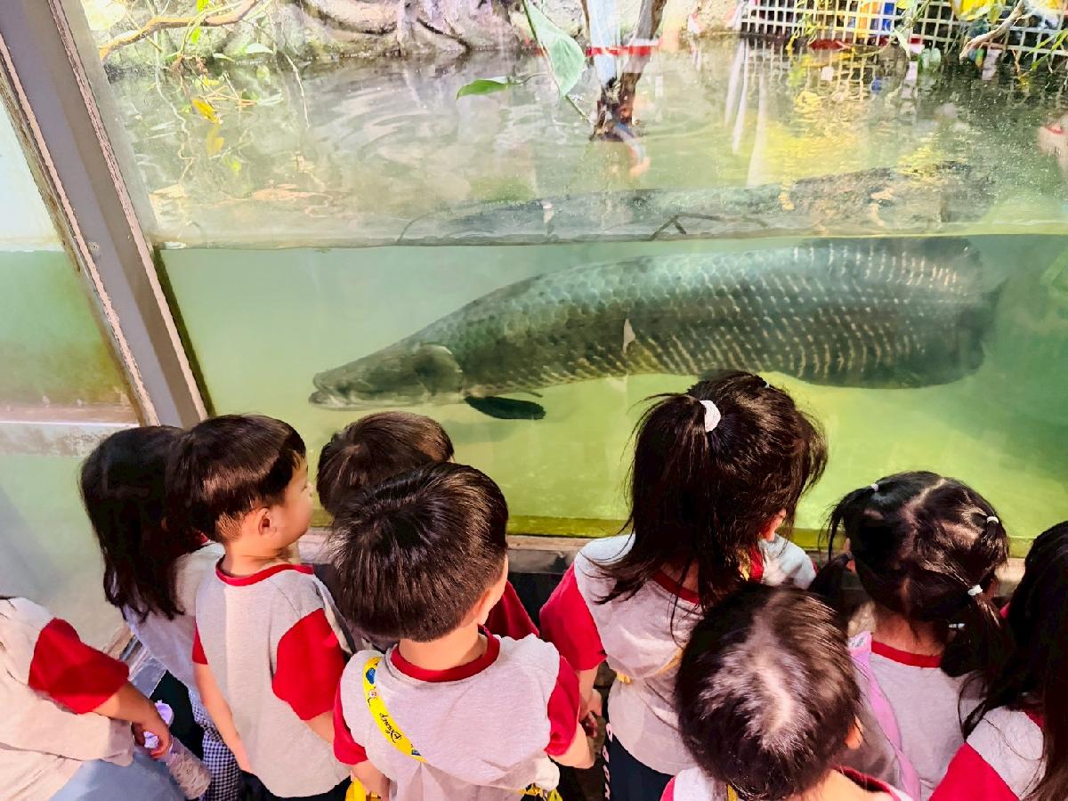 line_album_520昆蟲館_260520_2