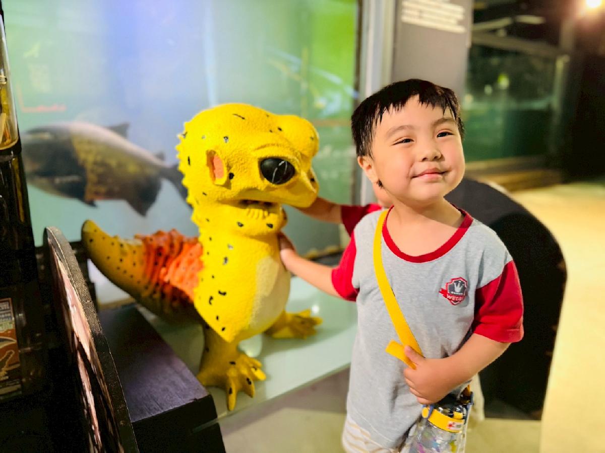 line_album_520昆蟲館_260520_11
