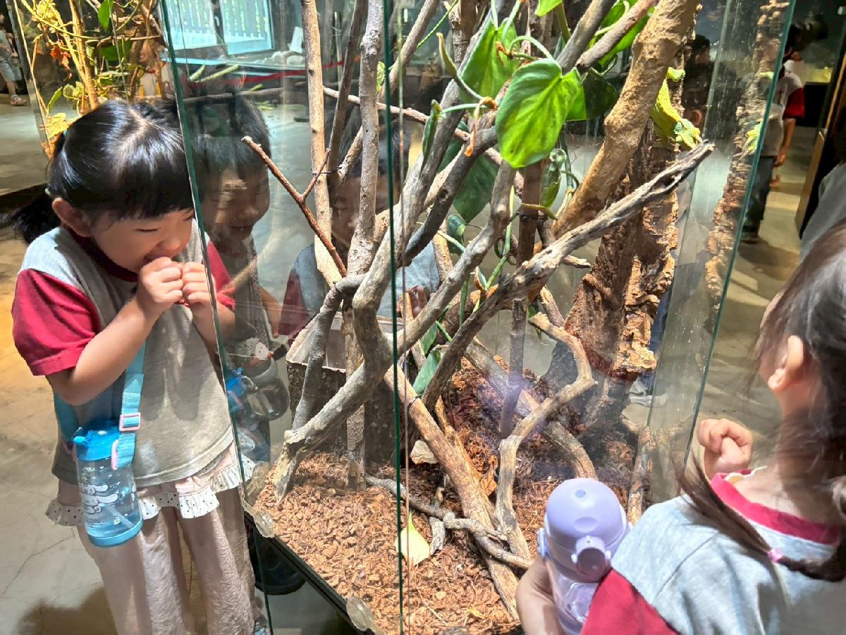 line_album_520昆蟲館_260520_22