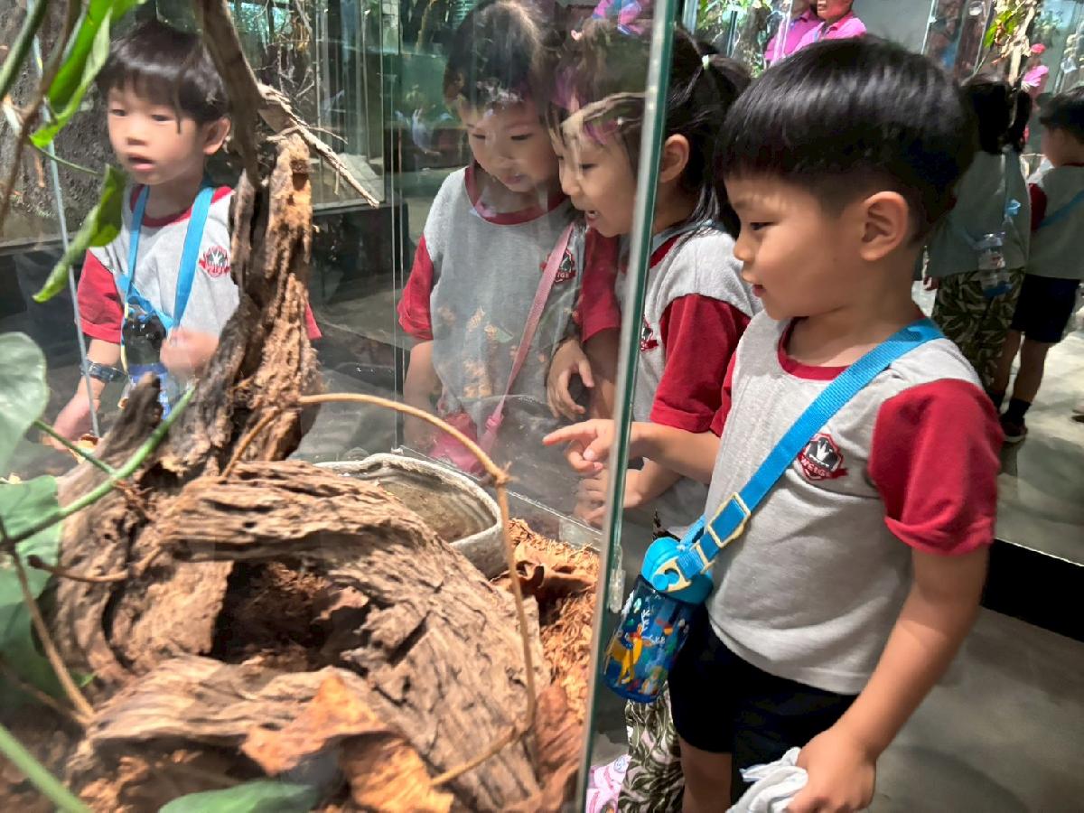 line_album_520昆蟲館_260520_23