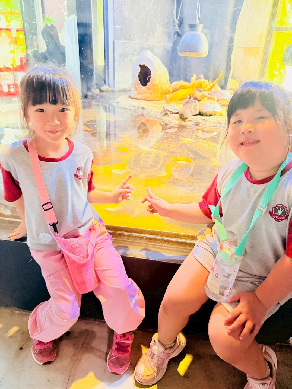 line_album_520昆蟲館_260520_32