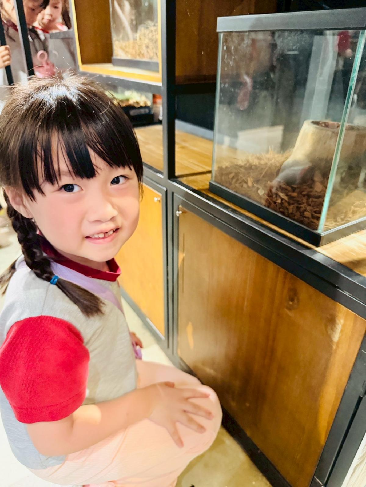 line_album_520昆蟲館_260520_34