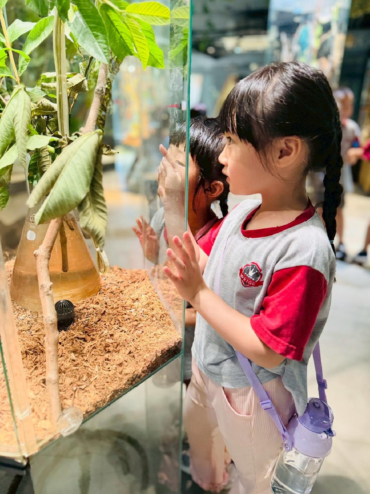 line_album_520昆蟲館_260520_38