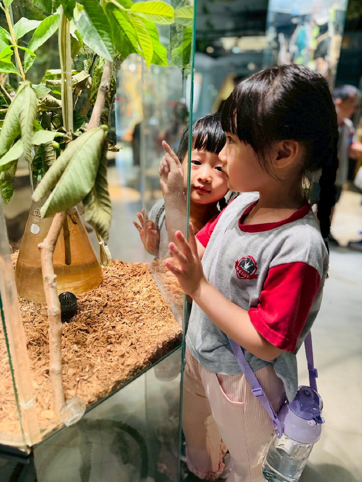 line_album_520昆蟲館_260520_39