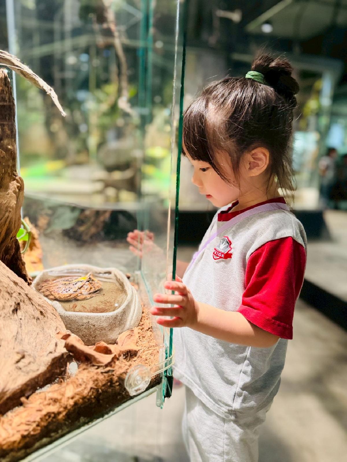 line_album_520昆蟲館_260520_41