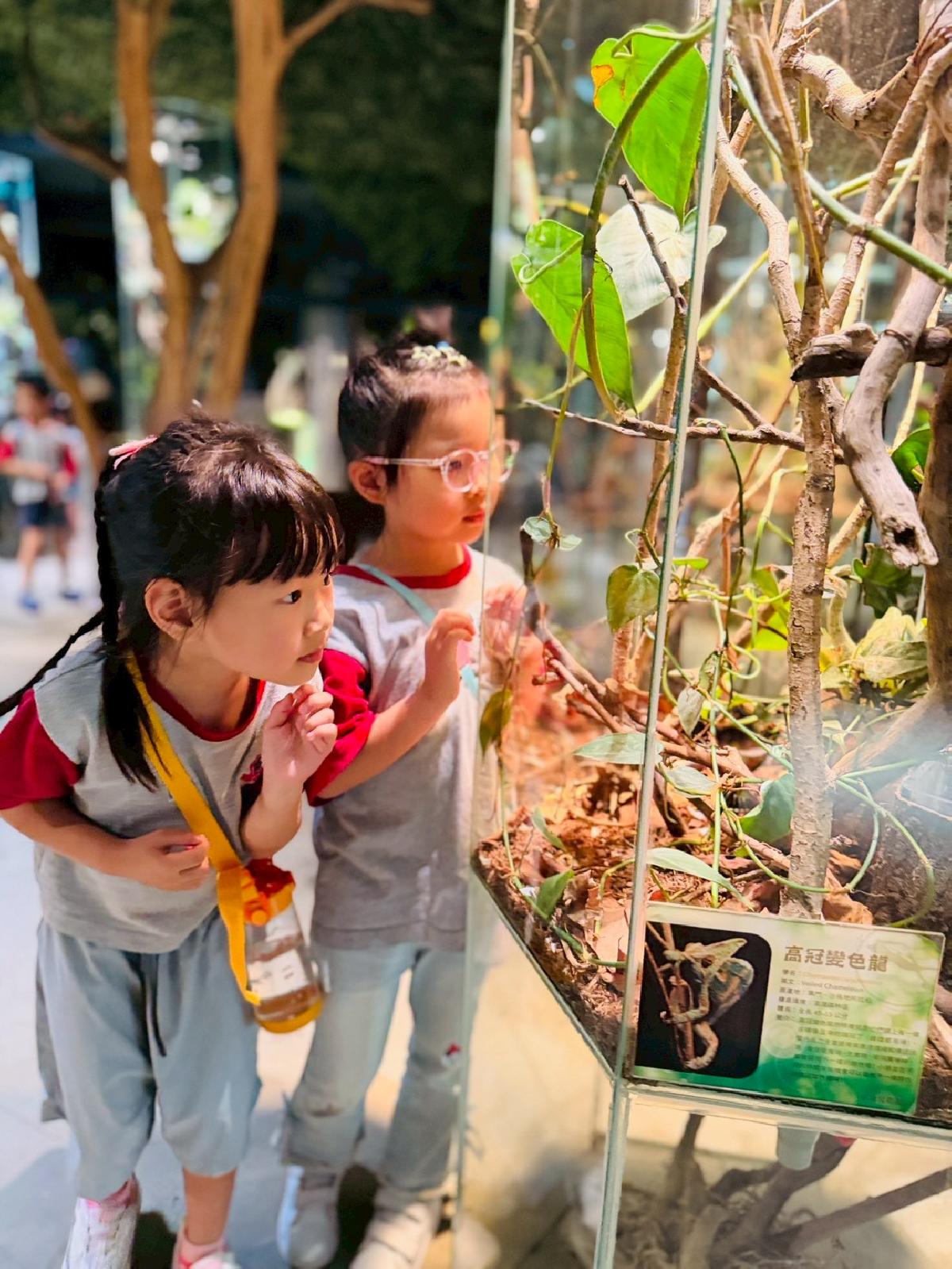 line_album_520昆蟲館_260520_40