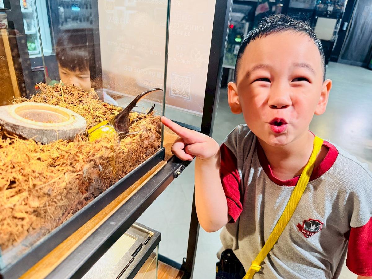 line_album_520昆蟲館_260520_43