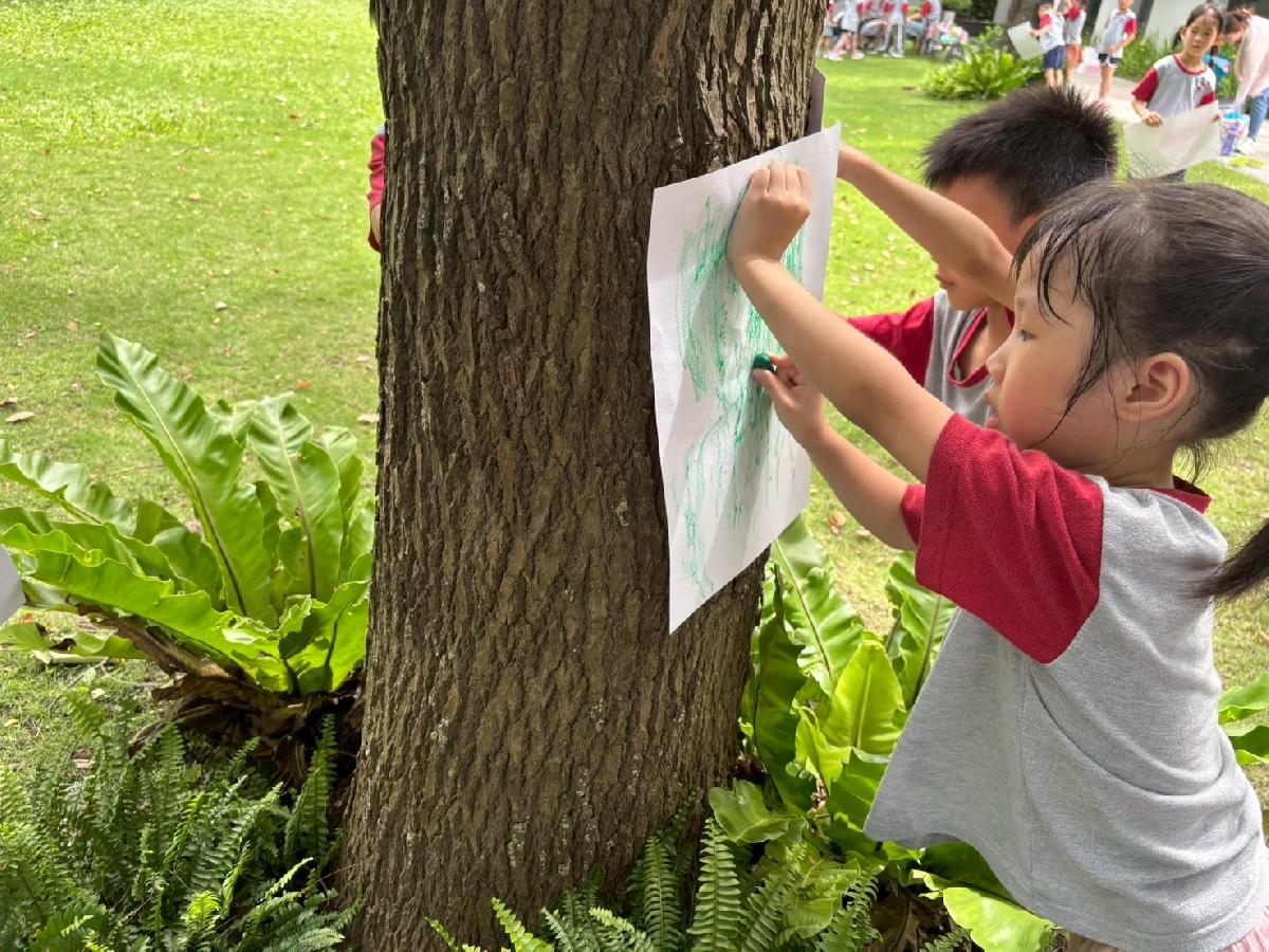line_album_20260617-仲夏童趣_260617_18