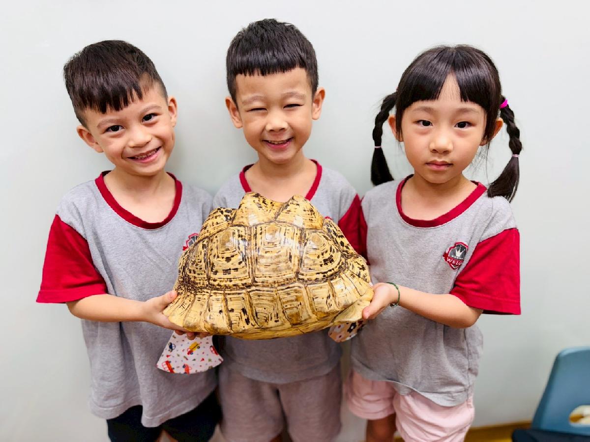 line_album_生物試上_260713_14